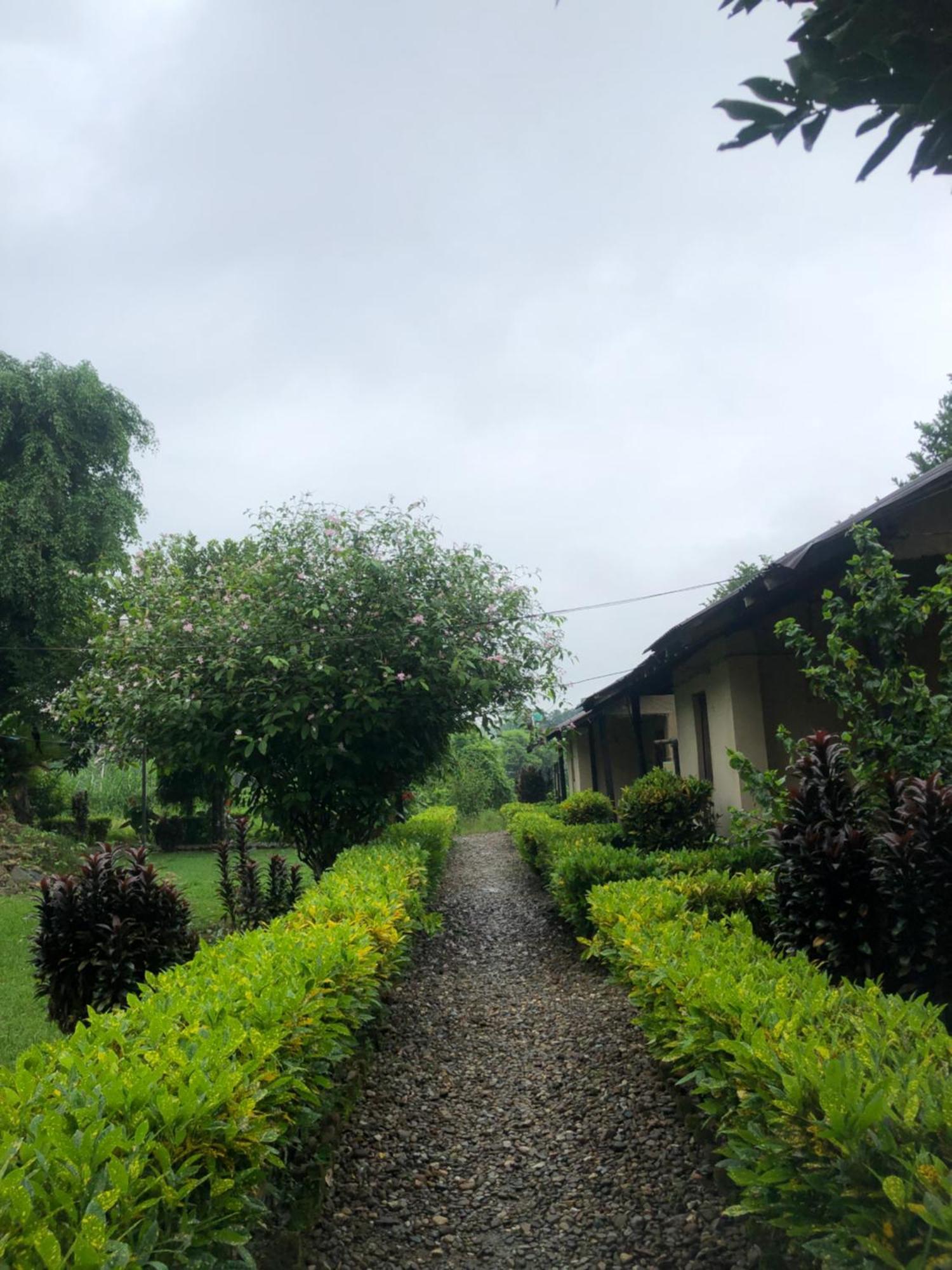 Hotel Tharu Garden And Beer Bar Chitwan Exterior photo